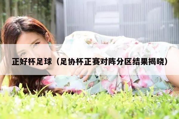 正好杯足球（足协杯正赛对阵分区结果揭晓）