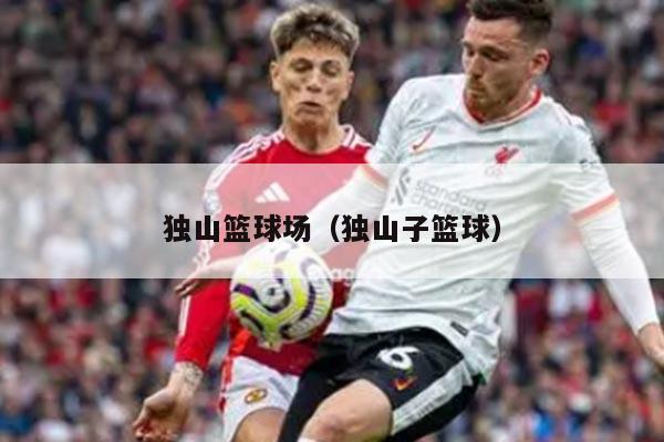 独山篮球场（独山子篮球）