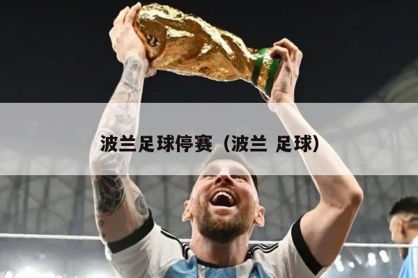 波兰足球停赛（波兰 足球）