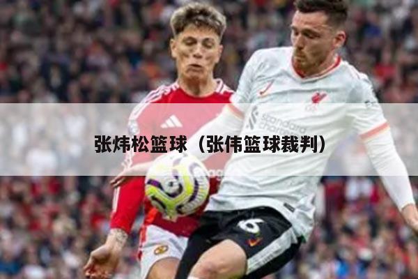 张炜松篮球（张伟篮球裁判）