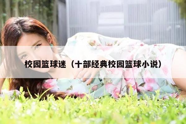 校园篮球迷（十部经典校园篮球小说）