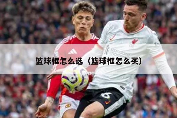 篮球框怎么选（篮球框怎么买）