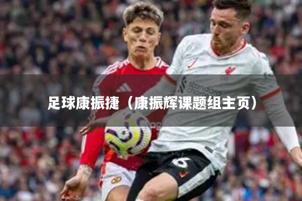 足球康振捷（康振辉课题组主页）