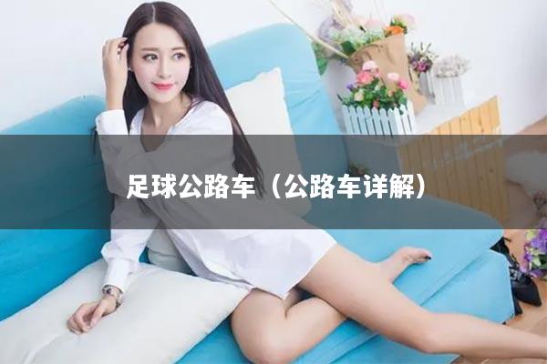 足球公路车（公路车详解）
