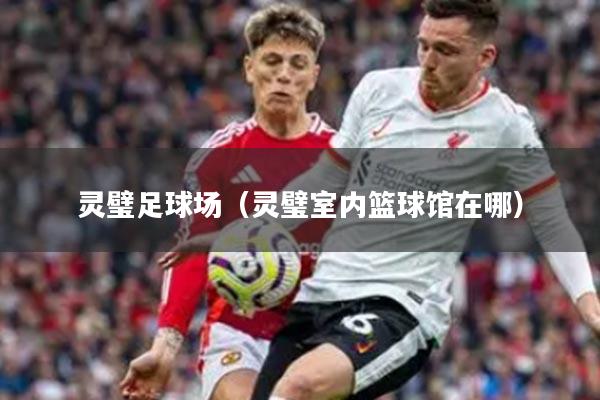 灵璧足球场（灵璧室内篮球馆在哪）