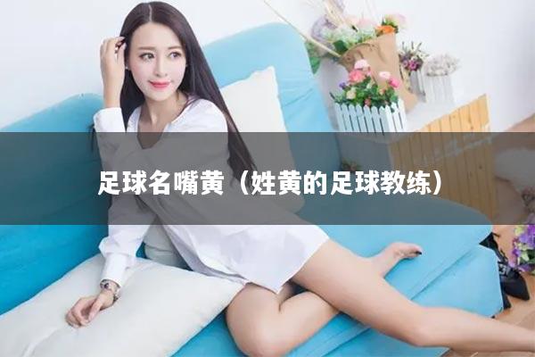 足球名嘴黄(姓黄的足球教练)